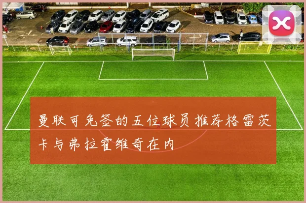 曼联可免签的五位球员推荐格雷茨卡与弗拉霍维奇在内